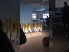 কাস্টম প্রকল্প বাতি